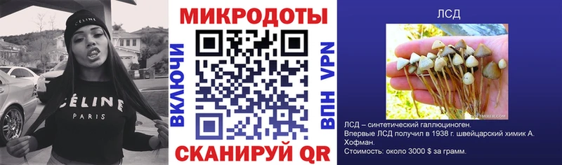 дарк нет как зайти  ссылка на мегу ТОР  Верхоянск  наркотики  Псилоцибиновые грибы MAGIC MUSHROOMS 
